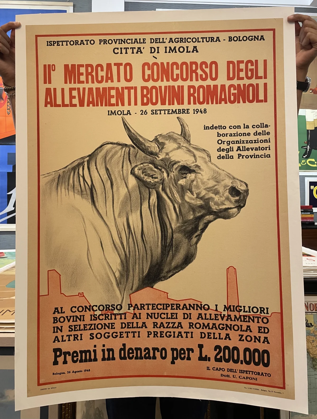 II° Mercato Concorso degli allevamenti bovini romagnoli, Imola (Bologna)