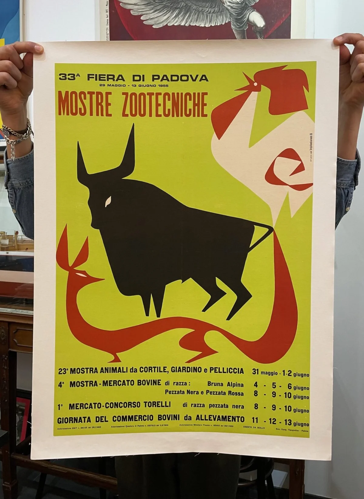 Mostre Zootecniche, Fiera di Padova 1955