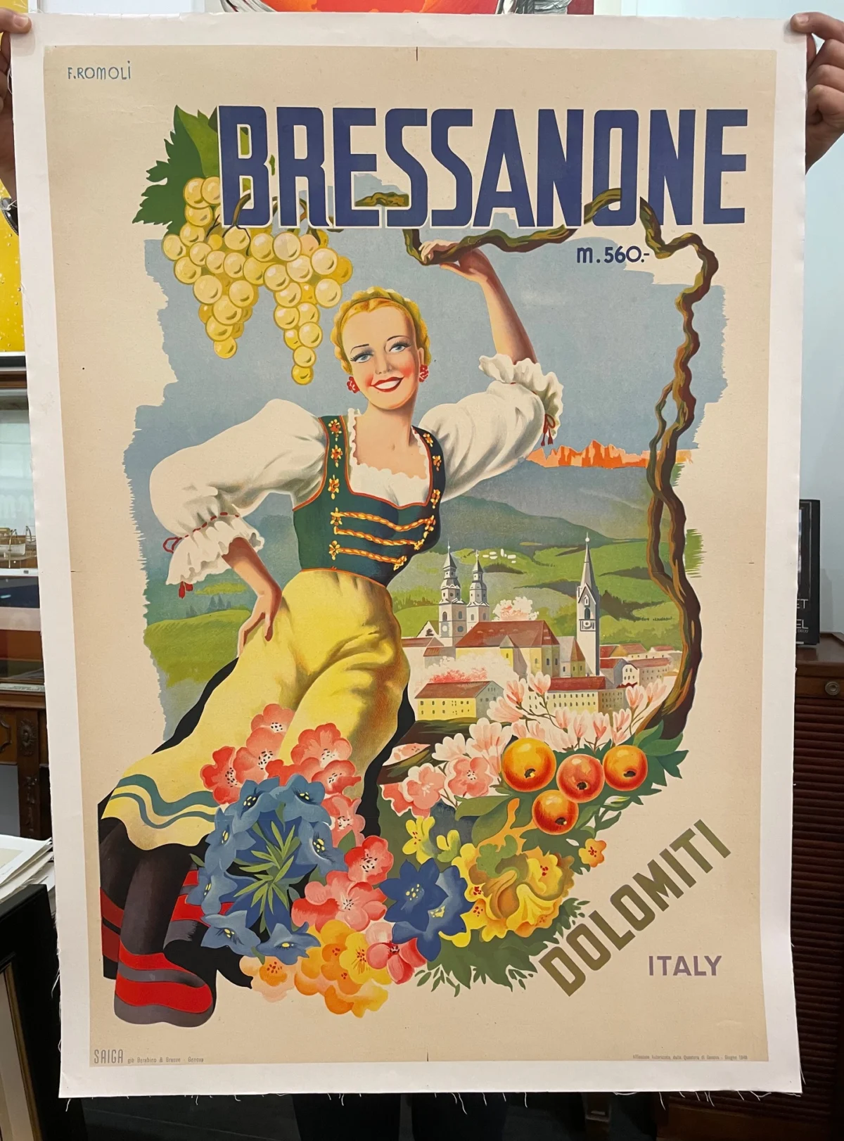 Bressanone (Bolzano), Dolomiti