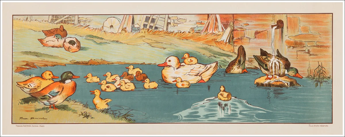 Litografia decorativa scolastica / Frise décorative scolaire de Firmin Bouisset / Anatre, canards, ducks