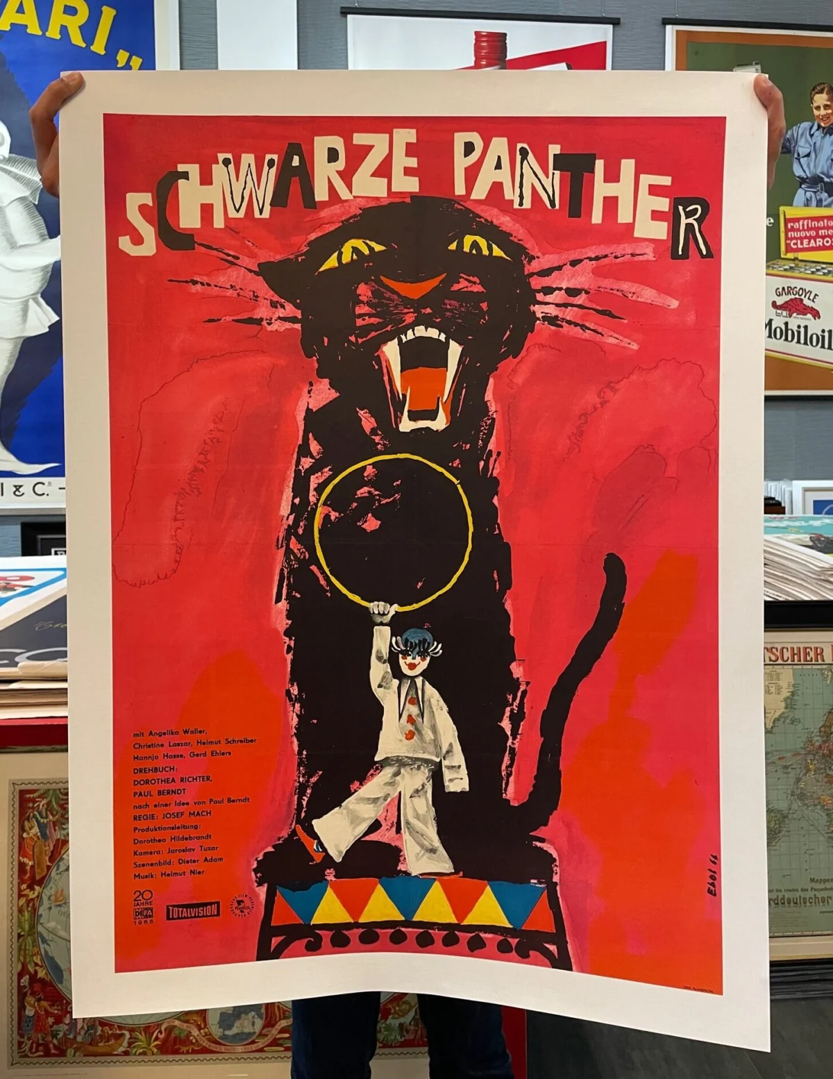 Schwarze Panther (Zirkus, circo, circus, cirque)