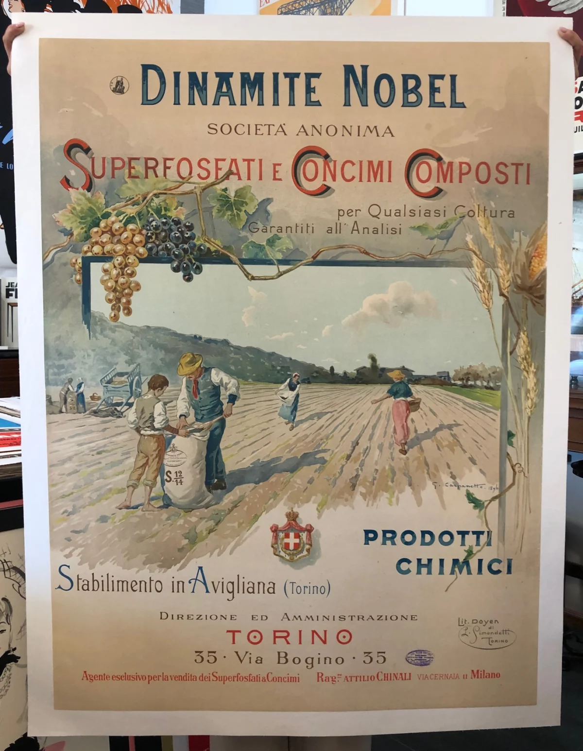 Dinamite Nobel, superfosfati e concimi composti - Stabilimento in Avigliana (Torino)