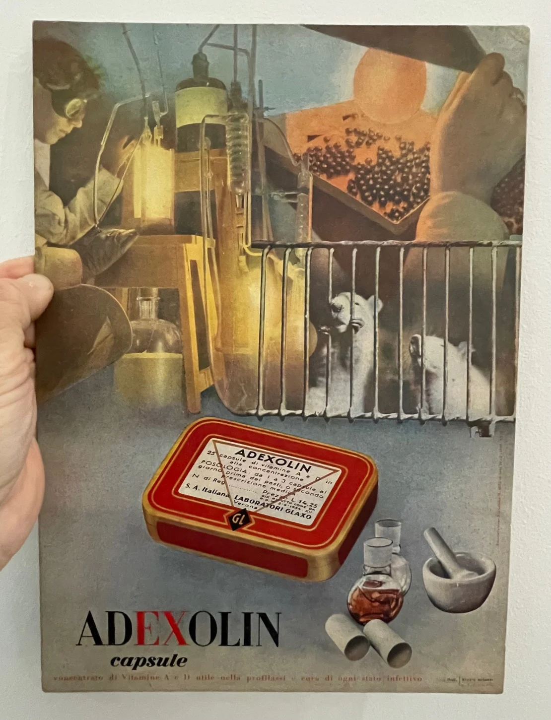 Adexolin capsule, vitamine A e D - S. A. Italiana Laboratori Glaxo, Verona