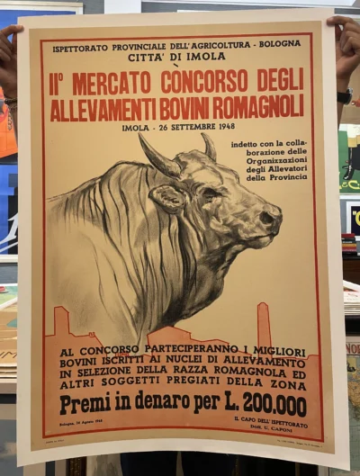 II° Mercato Concorso degli allevamenti bovini romagnoli, Imola (Bologna)