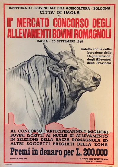II° Mercato Concorso degli allevamenti bovini romagnoli, Imola (Bologna)