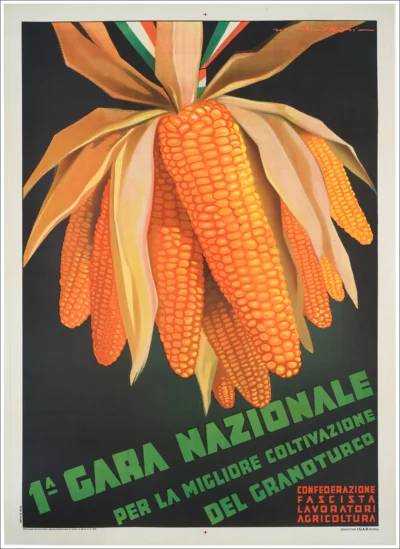 1.a Gara nazionale del granoturco
