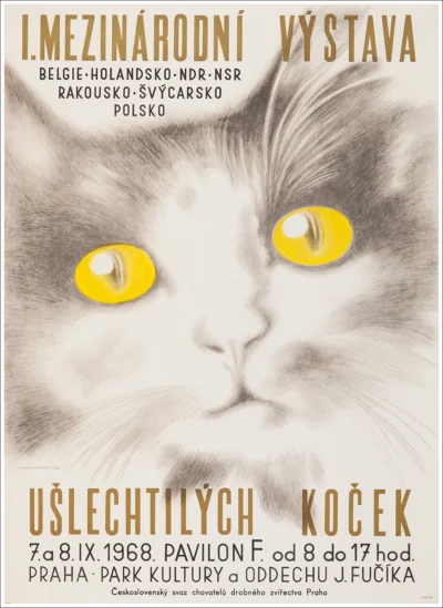 Praga, esibizione felina (Gatto)