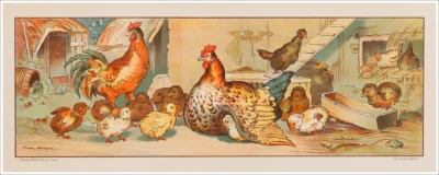 Litografia decorativa scolastica / Frise décorative scolaire de Firmin Bouisset / Galline, poules, hens