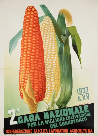 2.a Gara Nazionale Granoturco