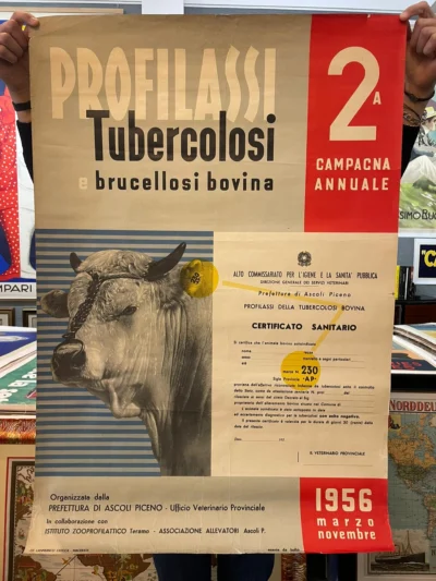Profilassi tubercolosi e brucellosi bovina, Prefettura di Ascoli Piceno