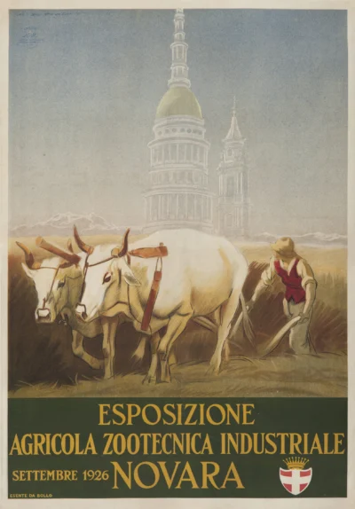 Novara, Esposizione Agricola Zootecnica Industriale