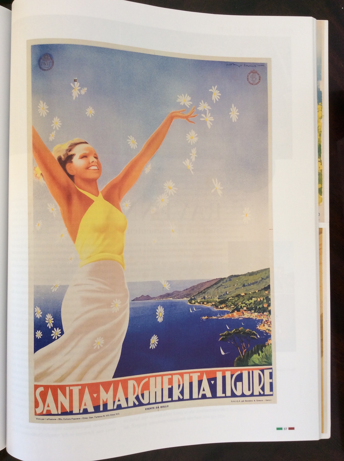 Travel Italia!: The Golden Age of Italian Travel Posters [Book]